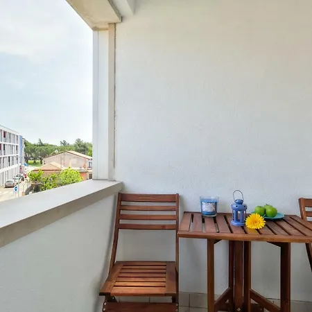 Center Blue Dream * Umag